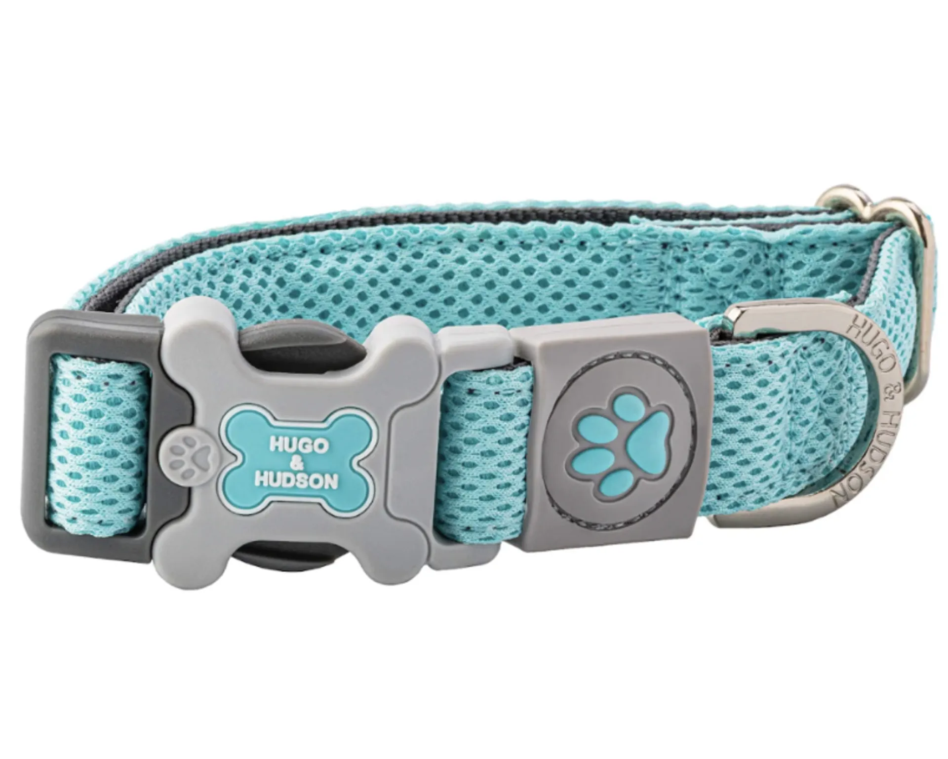 Aqua blue dog collar outlet